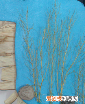 强烈推荐 一年四季有哪些节日，一年四季不重样——家园联系栏50例