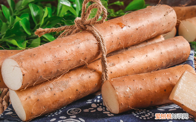 铁棍山药和普通山药的营养价值有什么区别