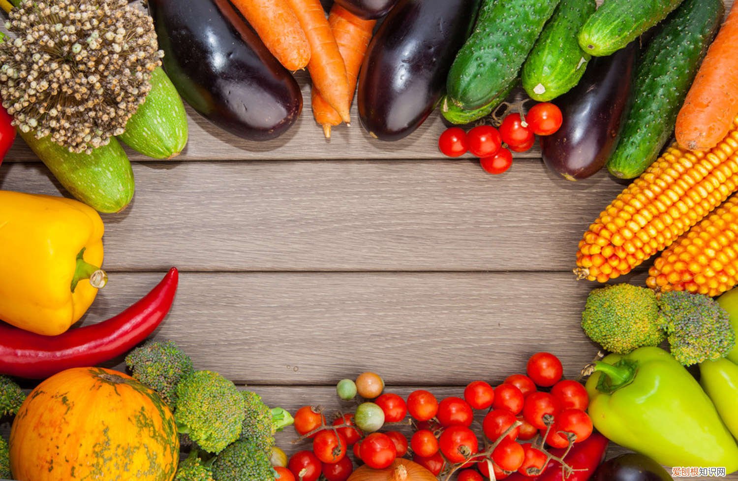 大棚蔬菜种植技术与管理 大棚蔬菜种植技术