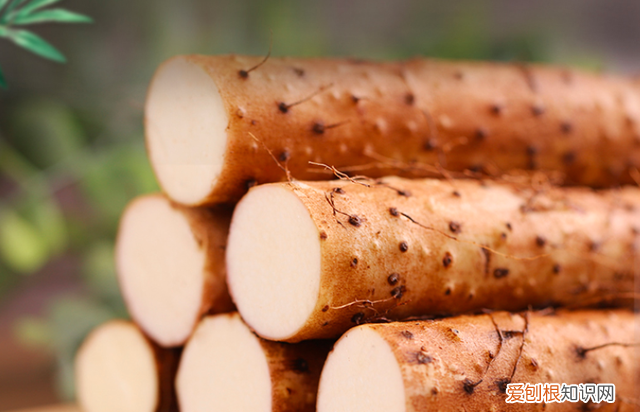 铁棍山药和普通山药的营养价值有什么区别