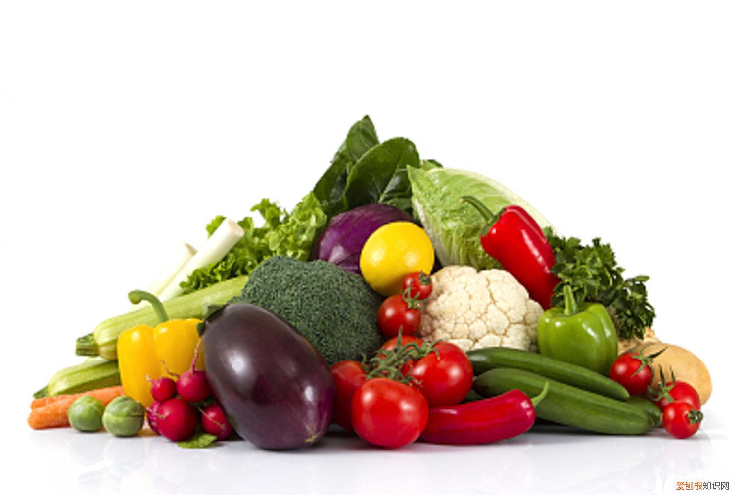 大棚蔬菜种植技术与管理 大棚蔬菜种植技术