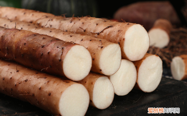 铁棍山药和普通山药的营养价值有什么区别