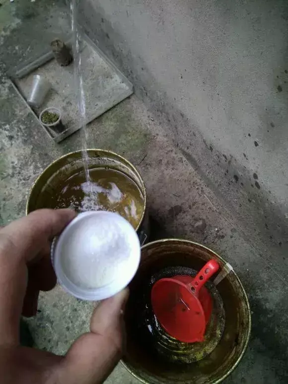 老花匠怎么养花，老花匠透露1招，扣水再回水，花儿迫不及待钻出来，爆满花盆