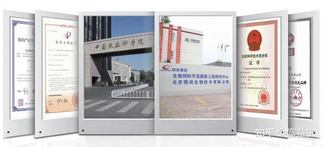 益生菌和狗粮怎么搭配吃，宠物食品国货品牌爆发 富益生用心做好粮