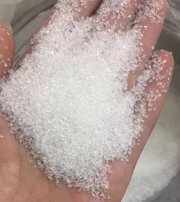 高手在民间,每月收入多少,高手在民间,每月1勺糖,文竹开出“满天星”,四季绿意盎然