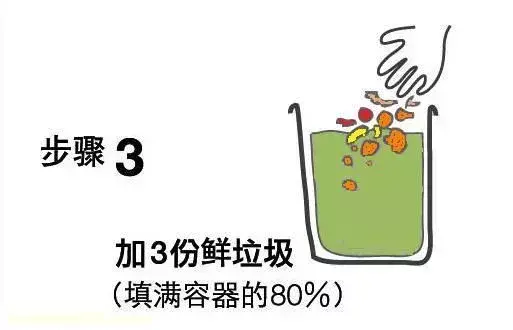 高手在民间,每月收入多少,高手在民间,每月1勺糖,文竹开出“满天星”,四季绿意盎然