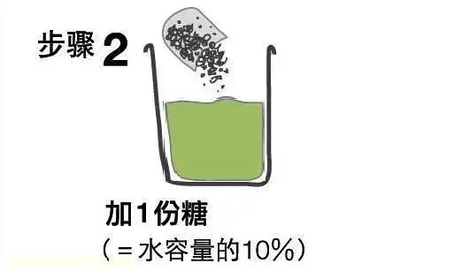 高手在民间,每月收入多少,高手在民间,每月1勺糖,文竹开出“满天星”,四季绿意盎然