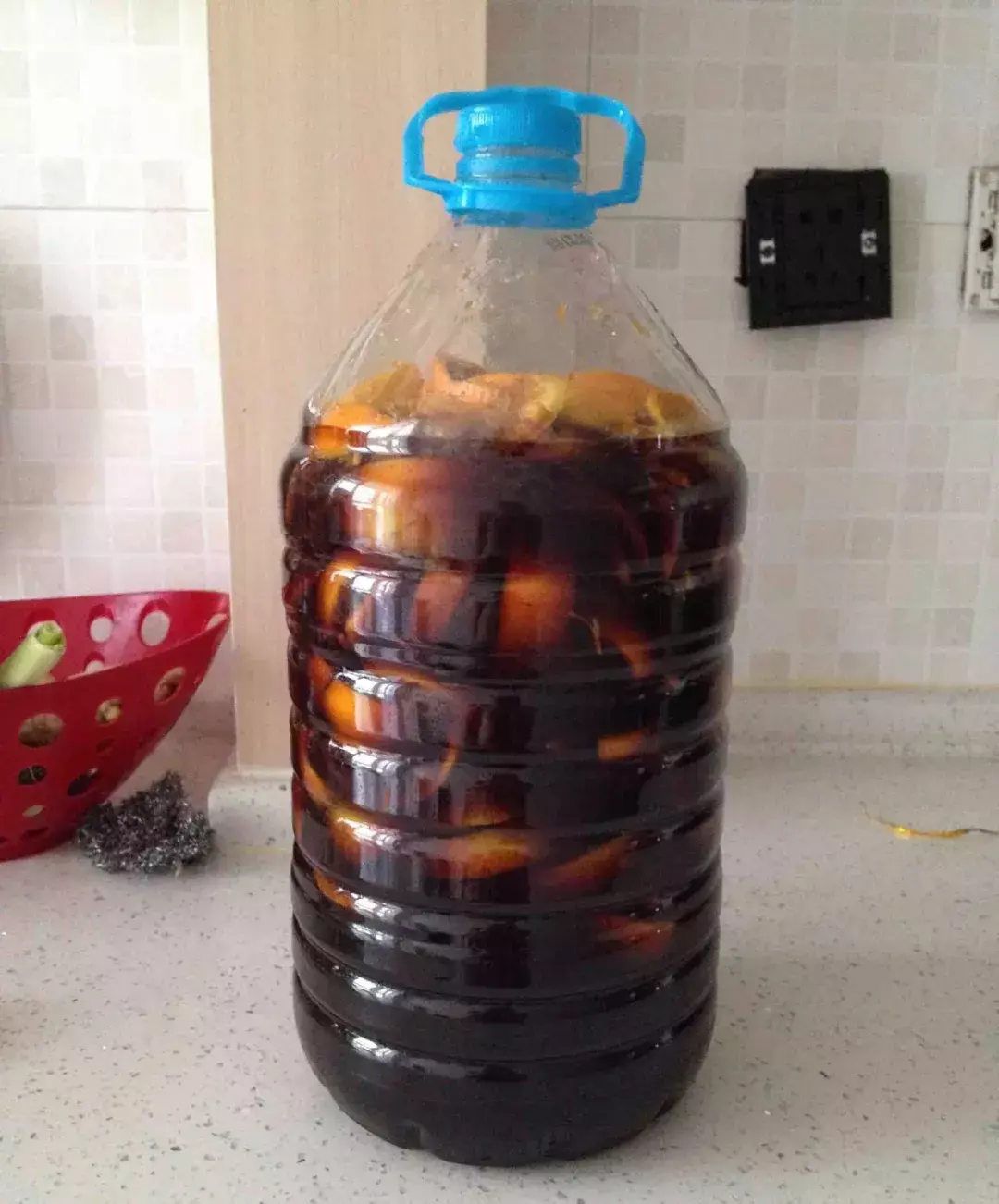 高手在民间,每月收入多少,高手在民间,每月1勺糖,文竹开出“满天星”,四季绿意盎然