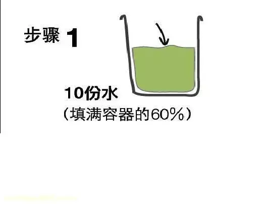 高手在民间,每月收入多少,高手在民间,每月1勺糖,文竹开出“满天星”,四季绿意盎然
