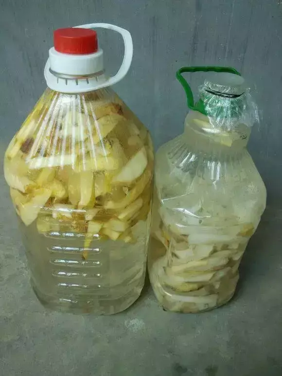 高手在民间,每月收入多少,高手在民间,每月1勺糖,文竹开出“满天星”,四季绿意盎然