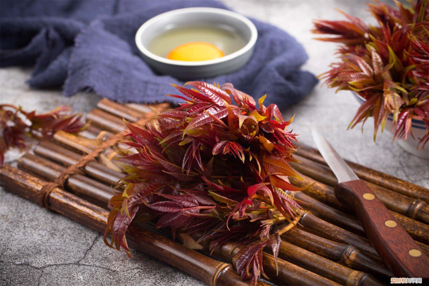 香椿种子繁殖 香椿种子如何种