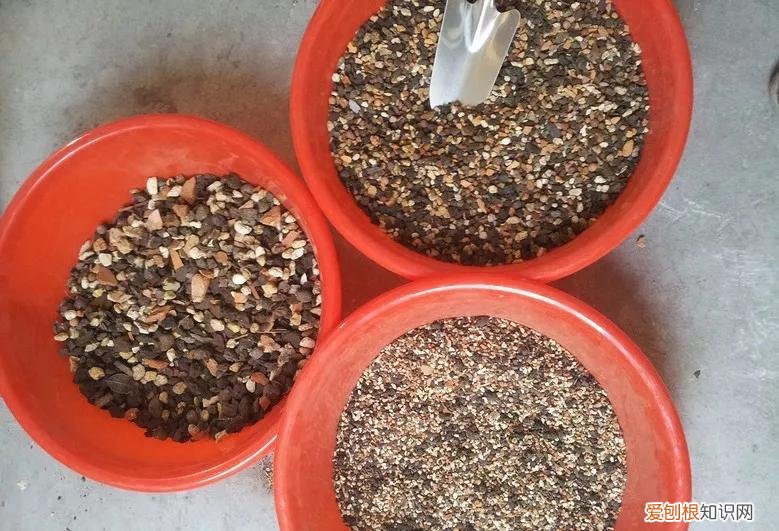 怎样养花不烂根视频，养花先养根，做好5件事，花草不烂根，大白根直冒