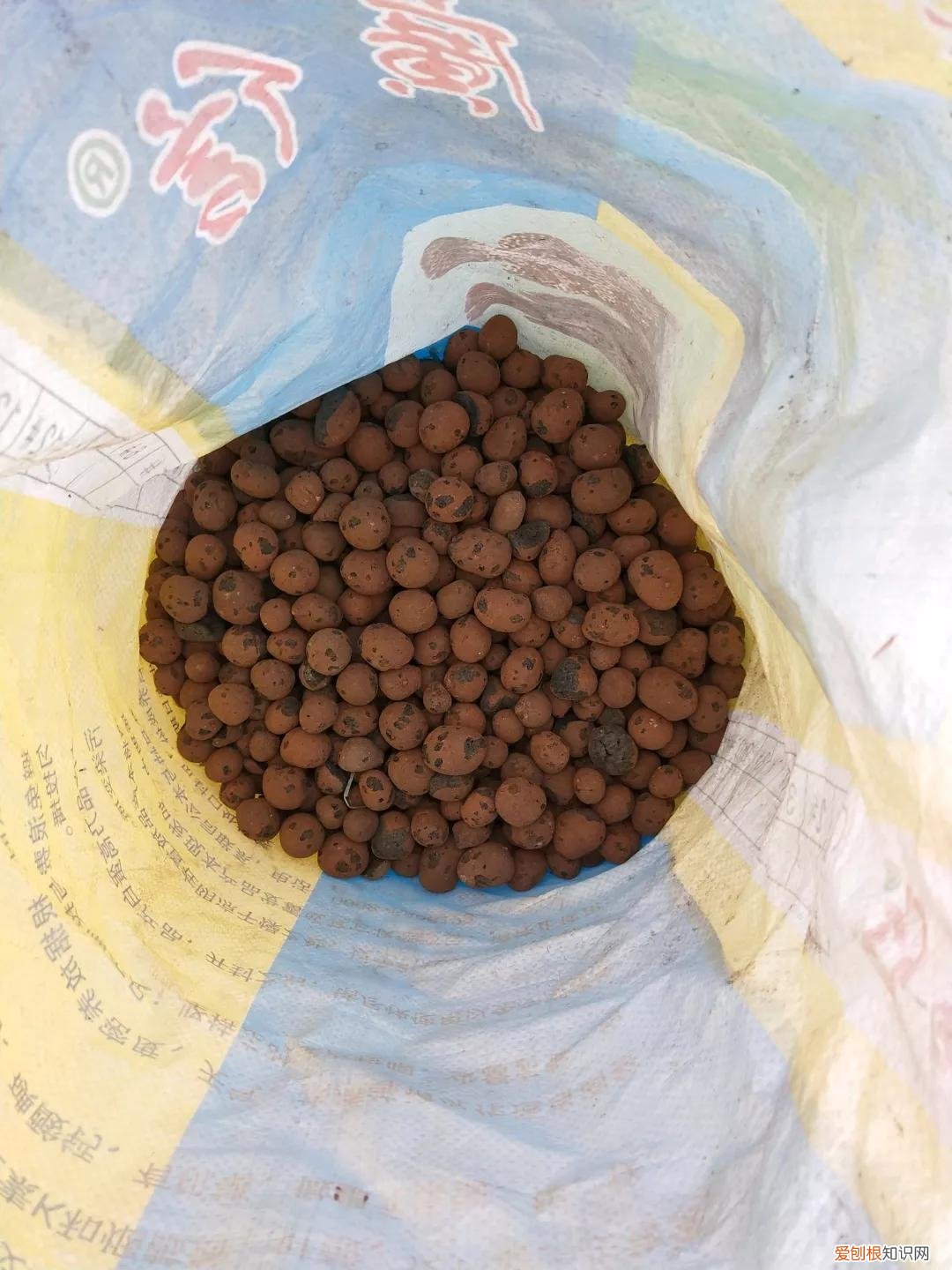 怎样养花不烂根视频，养花先养根，做好5件事，花草不烂根，大白根直冒