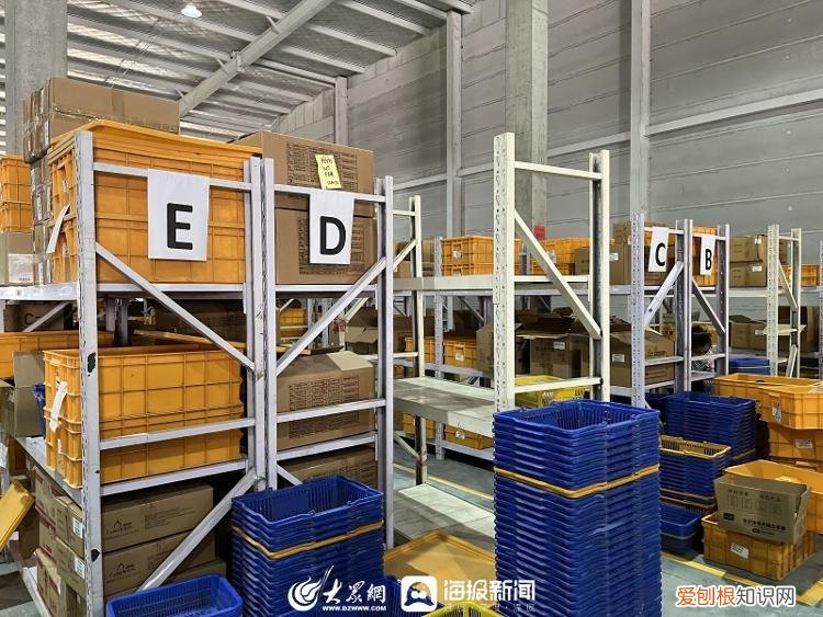 潍坊孙刚讲话,潍坊企业家谈创新⑤|孙洪学:养宠热潮推动企业的探索创新之路