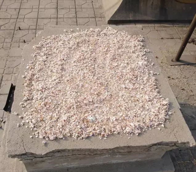 80年代的花盆有收藏价值吗,老花匠在盆里撒点粉末,不招虫不黄叶,狂开花呼呼爆盆