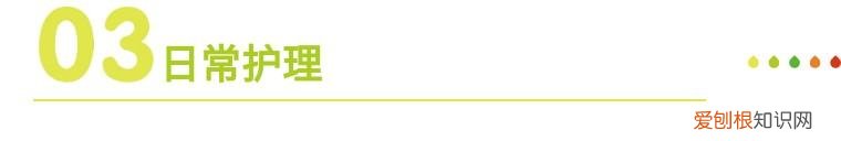 冬季家园共育小知识，家园共育丨幼儿入冬保健小常识与注意事项