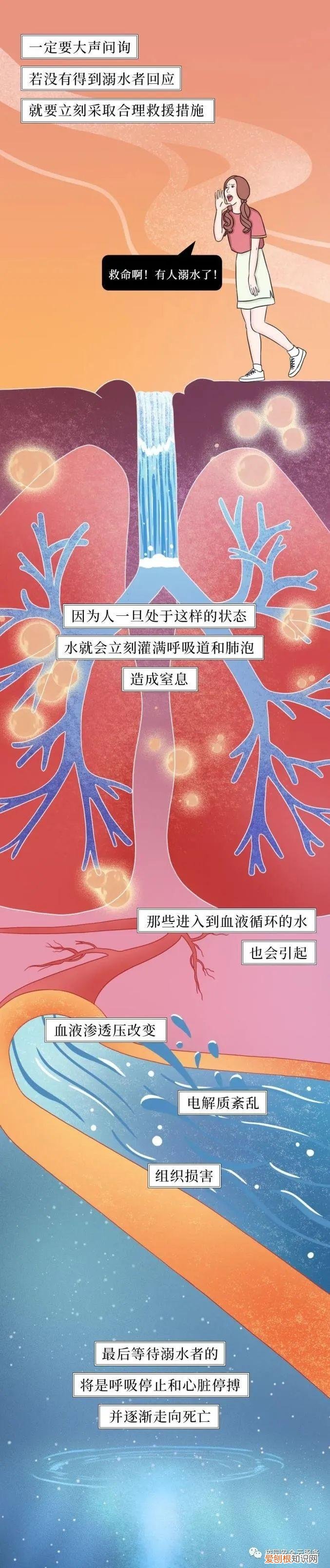 幼儿园小班夏季家园共育温馨提示内容,家园共育丨幼儿园夏季保健知识,老师家长必读