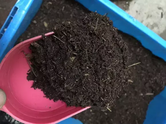 花用不用换土，花土挖来就用？难怪养不好花，高手都喜欢改一改，别偷懒