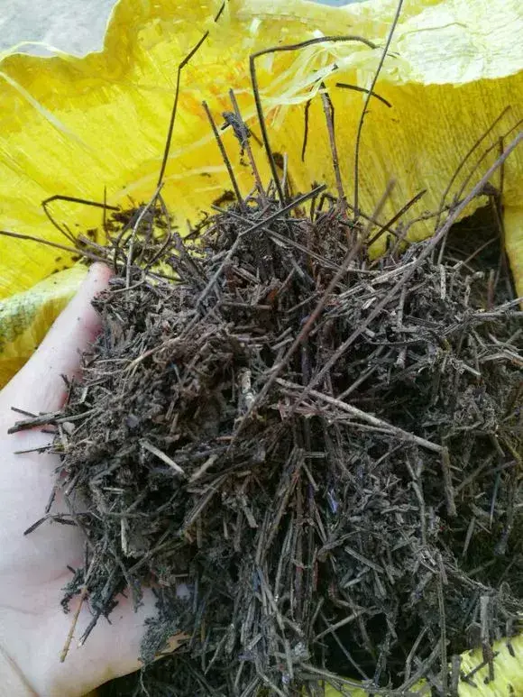 花用不用换土，花土挖来就用？难怪养不好花，高手都喜欢改一改，别偷懒