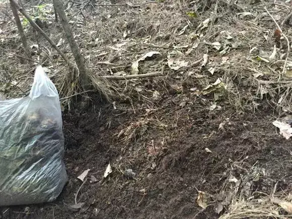 花用不用换土，花土挖来就用？难怪养不好花，高手都喜欢改一改，别偷懒