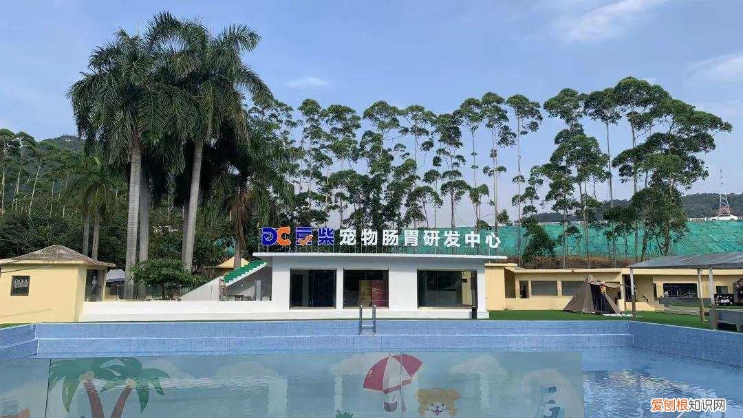 私域运营白皮书，做了8年私域，拥有百万用户的「豆柴」想要开创宠粮新品类