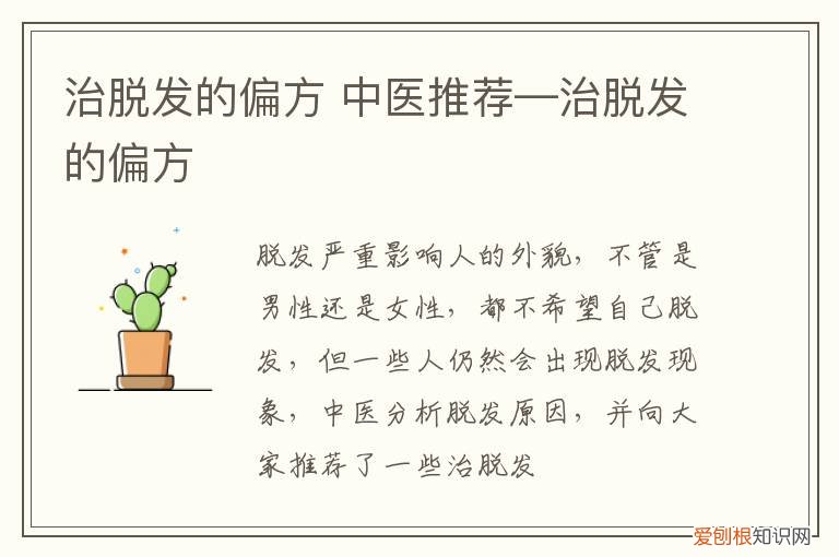 治脱发的偏方 中医推荐—治脱发的偏方