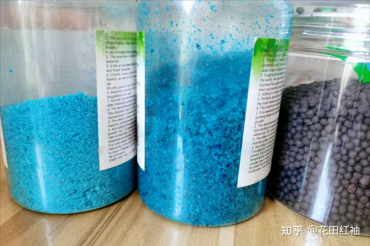 养花黄叶子怎么办，网络盛传8种“养花小妙招”，一顿操作白忙活，黄叶又烂根