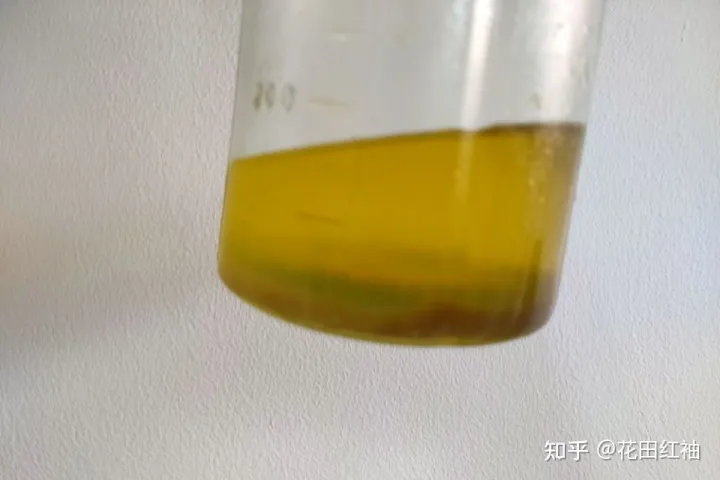 养花黄叶子怎么办，网络盛传8种“养花小妙招”，一顿操作白忙活，黄叶又烂根