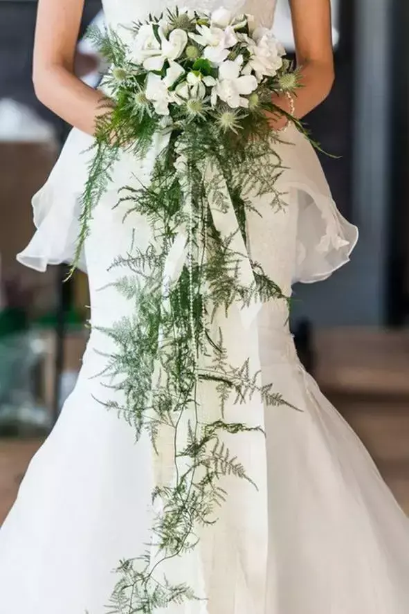 室内养文竹好不好，文竹好处多，居家必备！