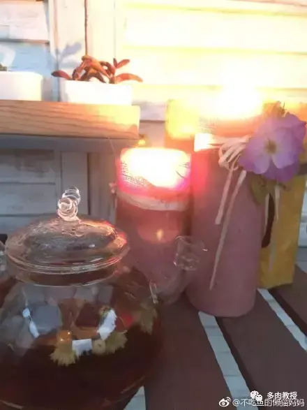 多肉的遭遇，多肉新闻第64期 好想带一盆这么可爱的多肉回家呀！