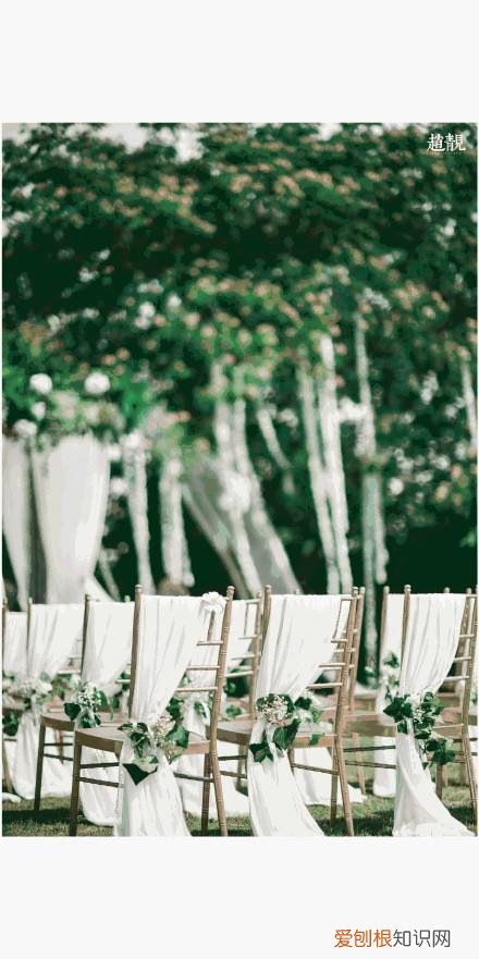 多肉为什么夏季休眠，多肉新闻第55期 大家注意，多肉已经进入度夏模式！