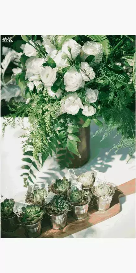 多肉为什么夏季休眠，多肉新闻第55期 大家注意，多肉已经进入度夏模式！