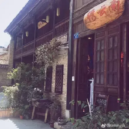 夏天多肉死了好多虫子，多肉新闻第106期 让我哭一会，夏天多肉又死伤一大片