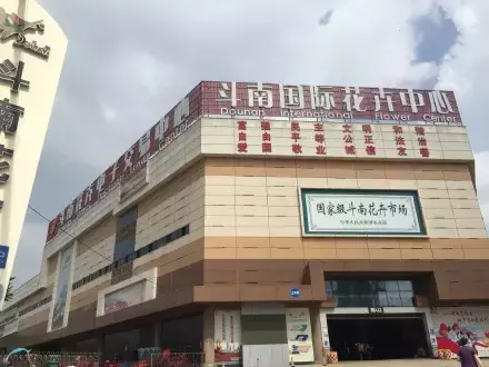 夏天多肉死了好多虫子，多肉新闻第106期 让我哭一会，夏天多肉又死伤一大片