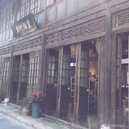 夏天多肉死了好多虫子，多肉新闻第106期 让我哭一会，夏天多肉又死伤一大片