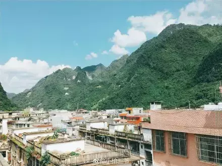 夏天多肉死了好多虫子，多肉新闻第106期 让我哭一会，夏天多肉又死伤一大片