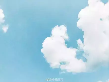 夏天多肉死了好多虫子，多肉新闻第106期 让我哭一会，夏天多肉又死伤一大片