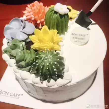 多肉50字，多肉新闻第80期 骑着装满多肉的自行车出去，很是神气！