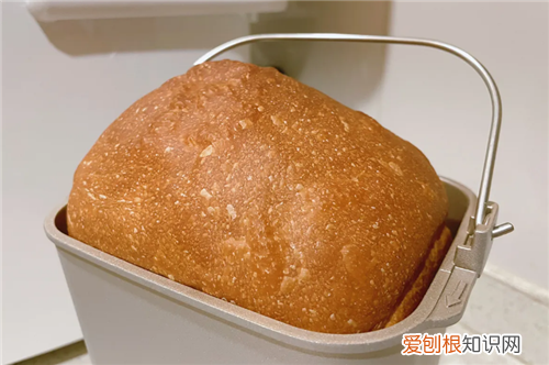 东菱面包机做面包的教程是什么，东菱面包机操作方法