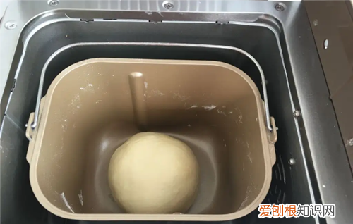 东菱面包机做面包的教程是什么，东菱面包机操作方法