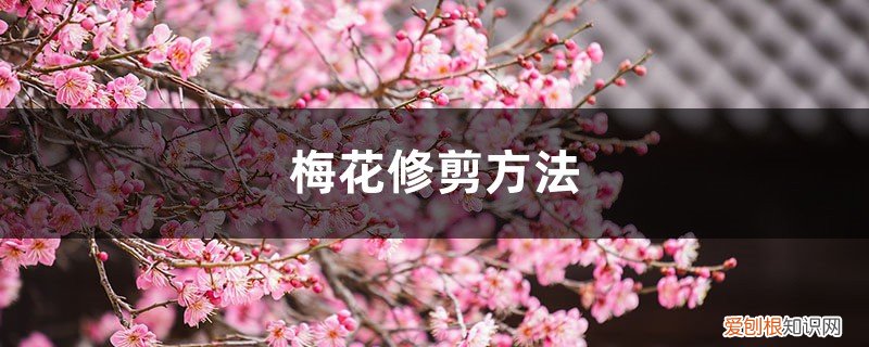 梅花修剪方法视频教程 梅花修剪方法