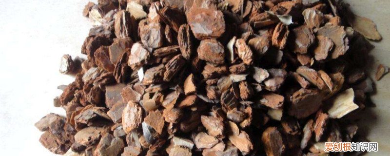 松树皮怎么发酵种兰花 松树皮怎么发酵