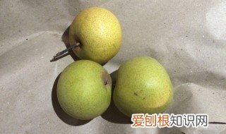 酸梨的功效与作用是什么 酸梨汤的功效与作用