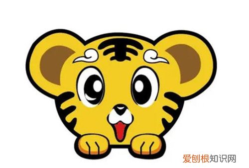 哪些属虎人不能穿红色,哪些属虎人不能穿红色袜子