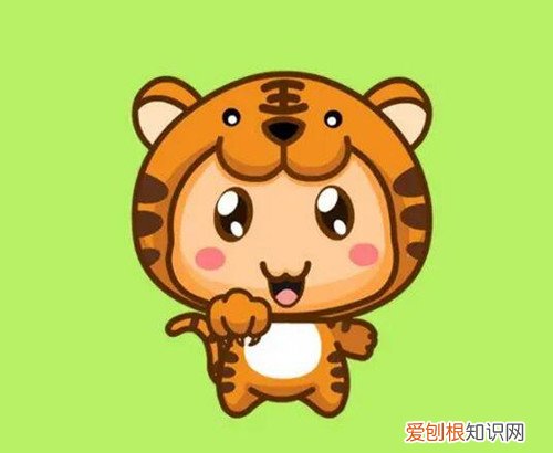 哪些属虎人不能穿红色,哪些属虎人不能穿红色袜子