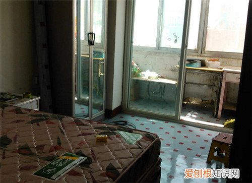 租房与买房的血泪区别有哪些,租房跟买房的区别