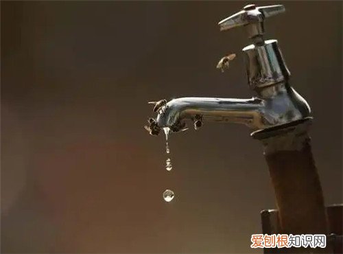 小区停水怎么查，小区停水怎么查电费