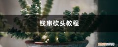 如何修剪钱串 钱串砍头教程