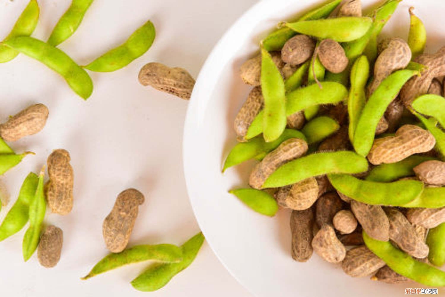 黄豆怎么种小盆栽好 黄豆怎么种小盆栽