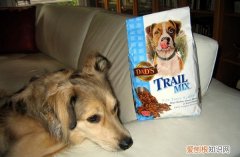 狗粮怎么吃好消化 狗粮怎么吃好